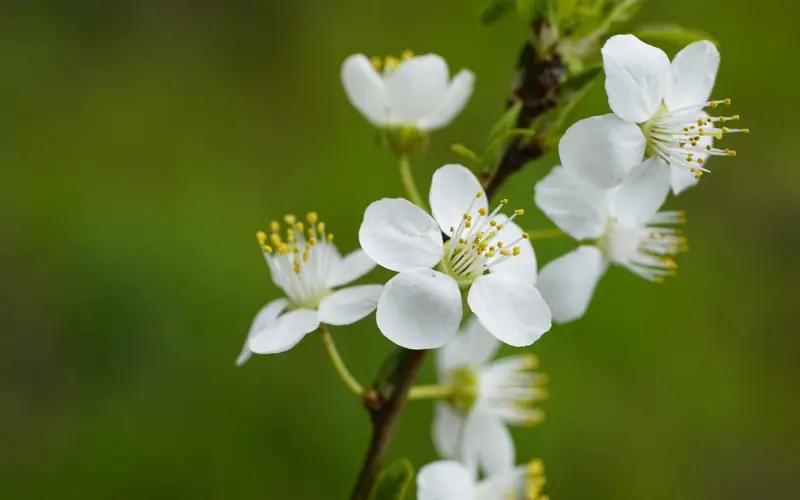 想听创业经验和恋爱技巧，冷大巡回演讲等你来