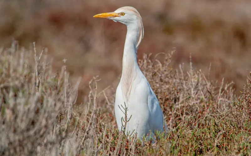 想挽回，首先要看你认知上是否存在错误