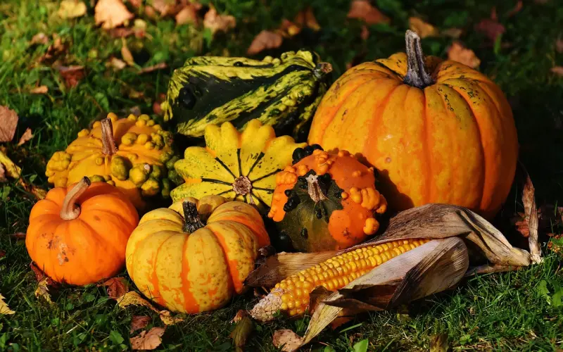 想要挽回一段感情，在初始期要怎么做最好？