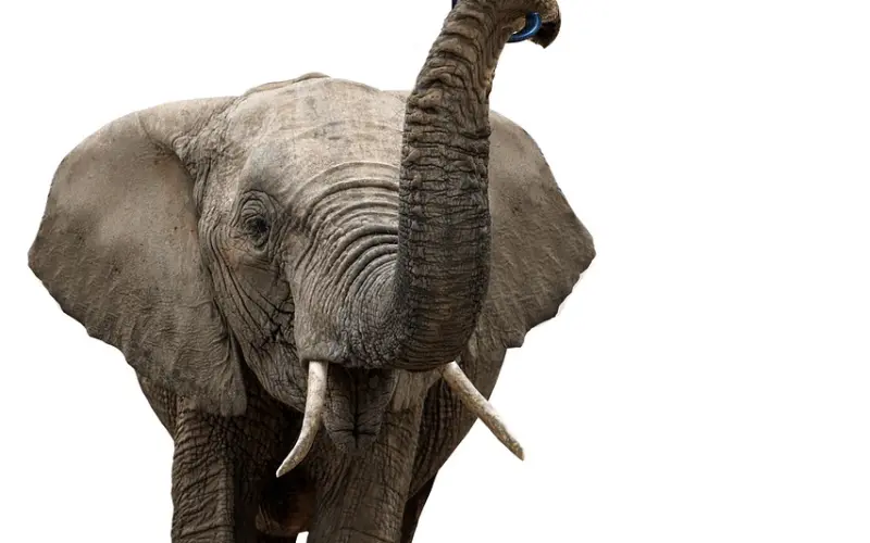 想留在女生哪里过夜，千万不能问，问了肯定不留你