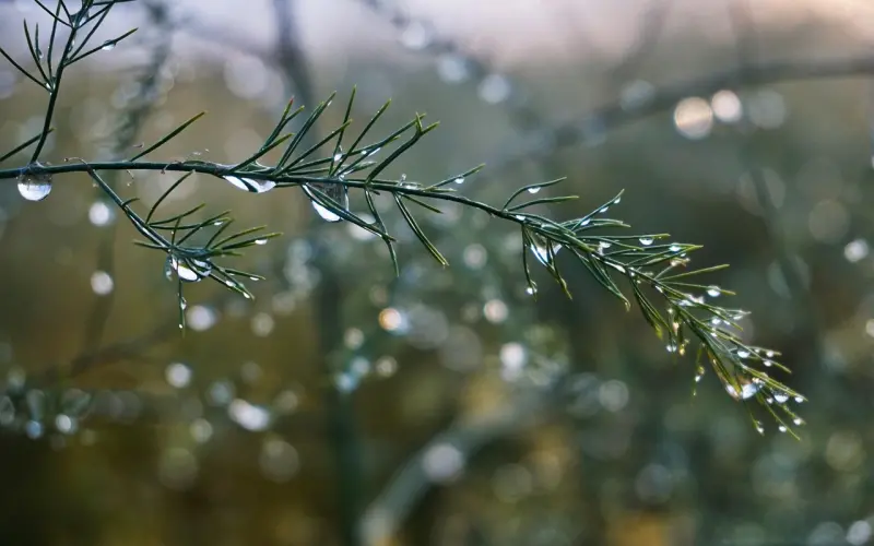 想成功挽回死心的前女友，这‘4个挽回套路’你必须懂！