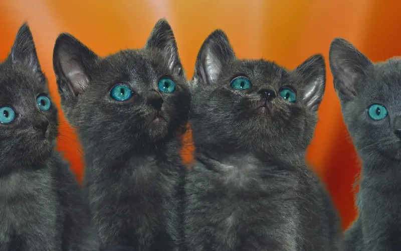 想要挽回前任，这四种朋友圈不要发！