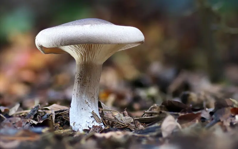 想要挽回男友，女人首先要学会反思和提升！