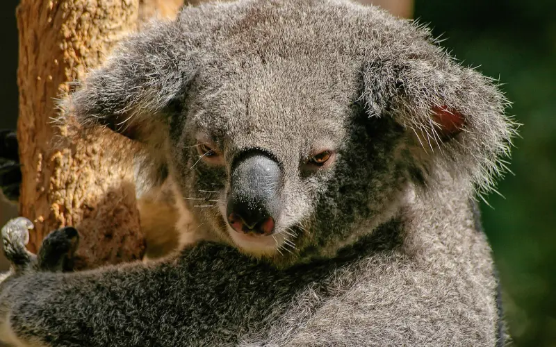 想要挽回前任，要按步骤，有计划进行
