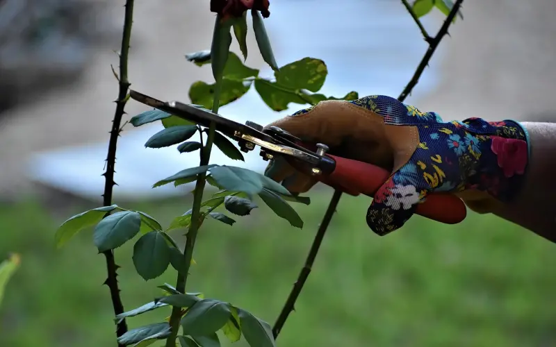 分手后想前任主动找你复合，前提是这一点你能做好