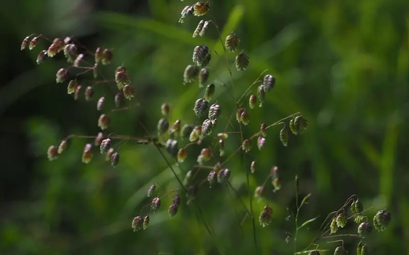 如果你的小时候记忆中常见“父母吵架、打架，那注定可能你要经历婚姻感情的困惑！”
