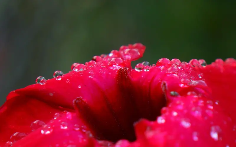 前男友说顺其自然还挽回嘛？