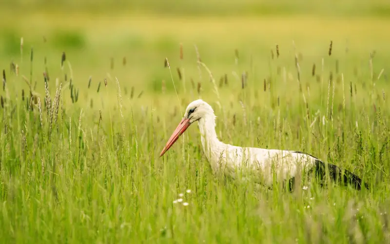 前任不肯复合，消除这些顾虑，让他主动挽回你