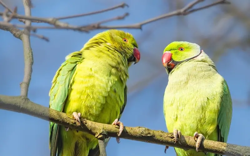 老公出轨,如何判断男人对小三是真爱还是玩玩？