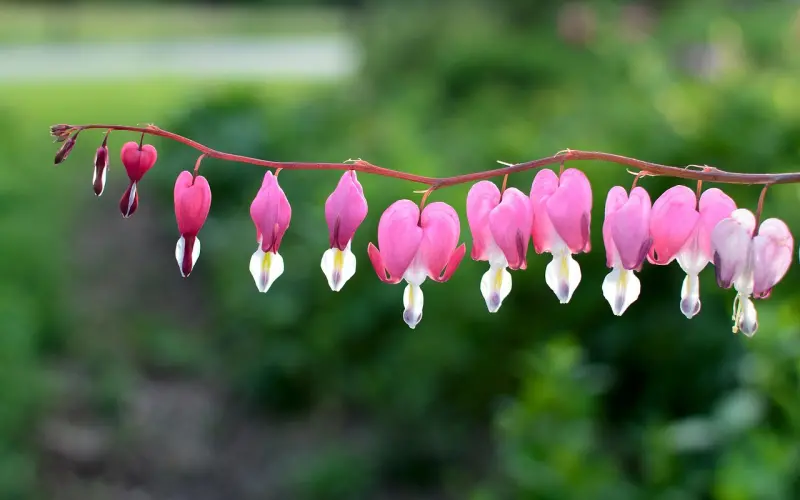 婚姻出现危机，该如何去挽回老公坚决要离婚的心呢