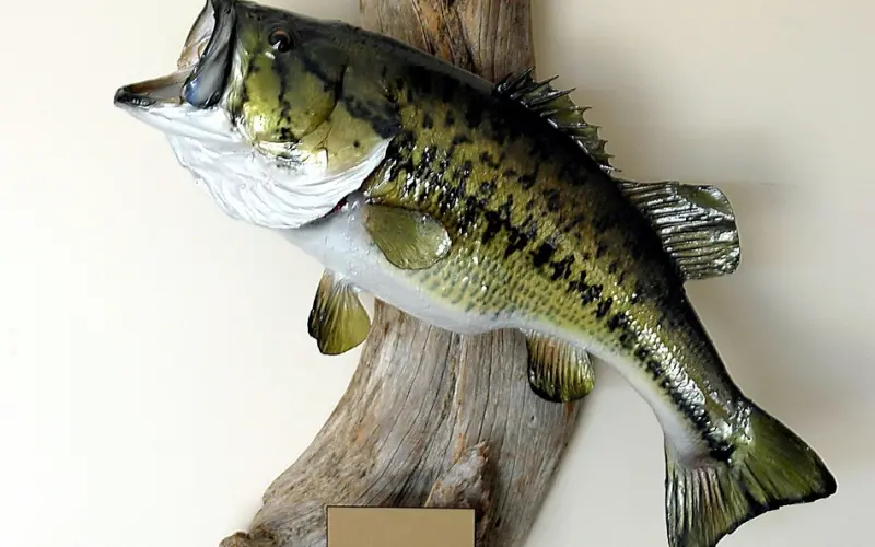 追求被拒绝，还能挽回吗？