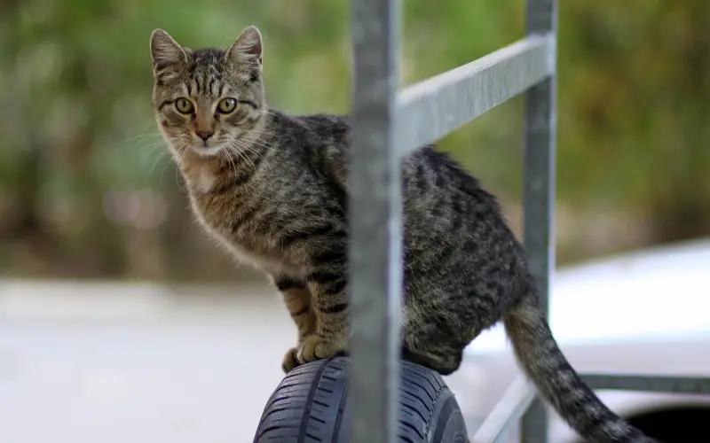 如果你的感情很累还有必要挽回吗