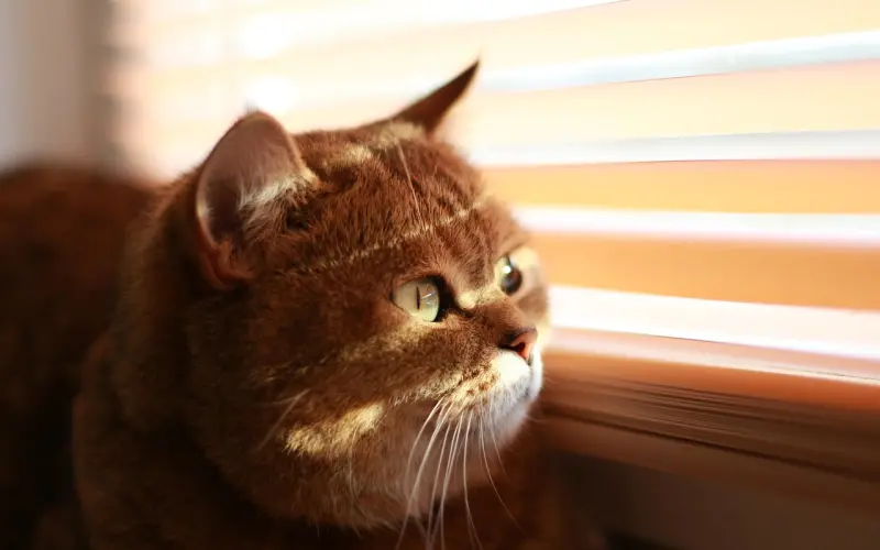 我说话有点偏激，如何才能让女生喜欢上我