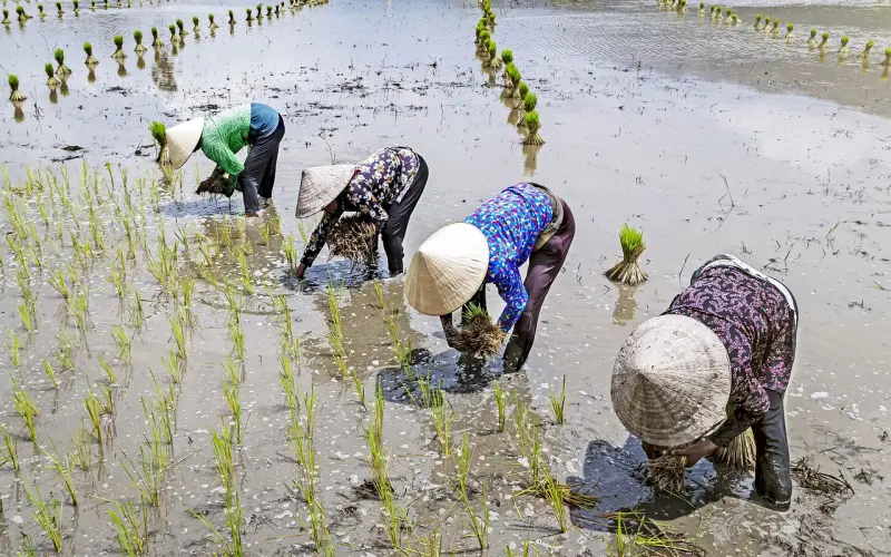 要去跟姑娘约会了，该如何做场景植入