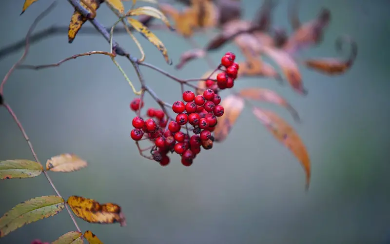 《我不是药神》承包了整个盛夏的眼泪，居然还有人给差评？！