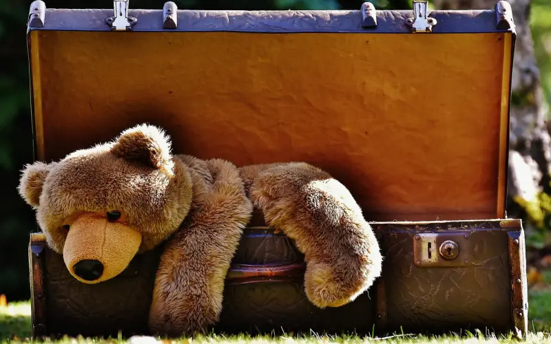 特别好奇我这样的女孩子，在大家心里能有几分？