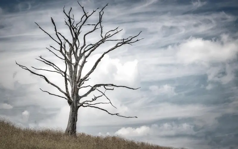 80后，死都不能死的年纪