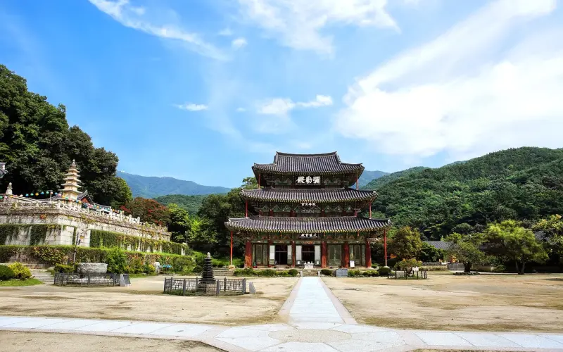 为什么人心换不到人心！这就是答案！句句入骨！