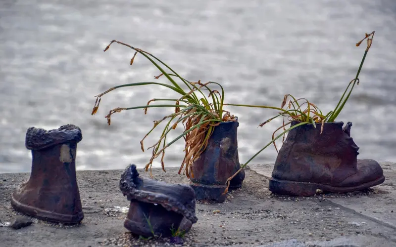 长得丑，你配谈恋爱吗？