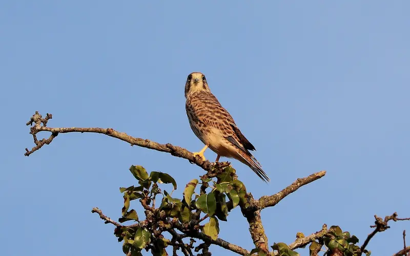 女朋友说我的生活习惯让她比较难受和我分手，还能挽回吗