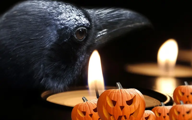 2019，珍藏这3句话，用它改写人生