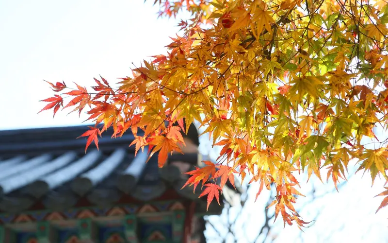 长期关系，“我养你”这句话的背后暗含了多少陷阱