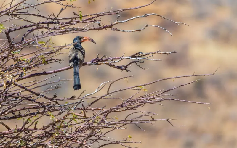 在婚姻里，不要总是把离婚挂在嘴边，说多了就会失去效力