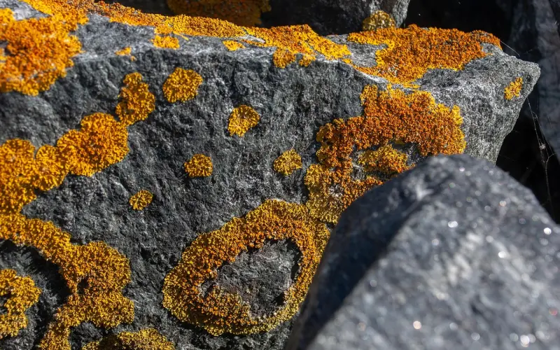 婚姻里，这4种人最让伴侣心累！