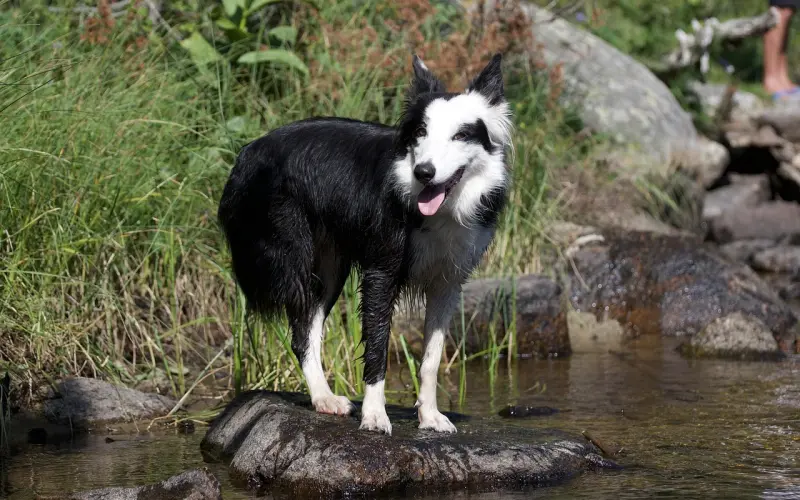 除了吻女人的嘴以为，还有很多女人喜欢被吻的部位
