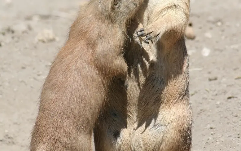 深度分析：你的原生家庭能怎么影响你？
