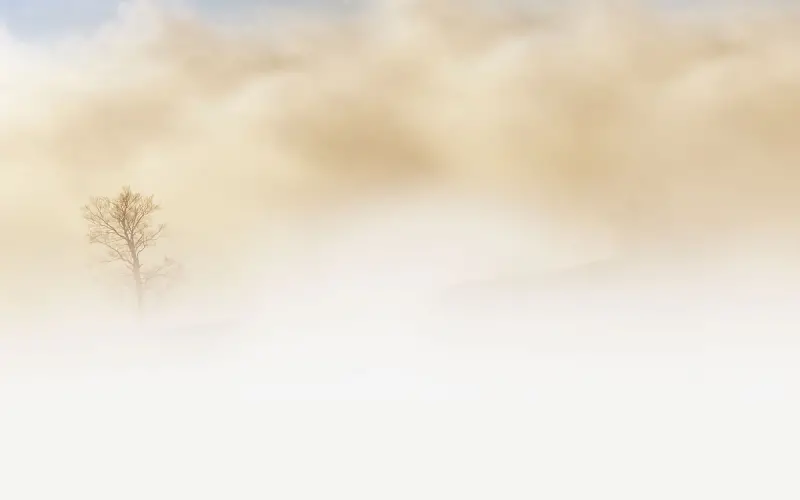 恋爱里，没安全感的女人有多吃亏