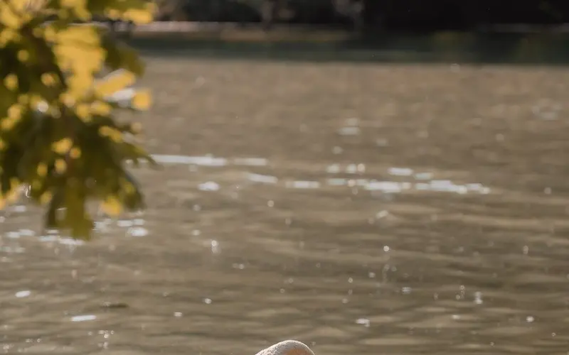 婚姻中，让他言听计从、百依百顺的4大攻心话术