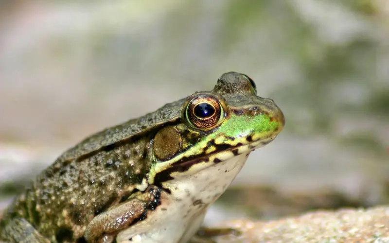 夫妻生活中，女人若是这样去对待你，多半就是有了二心了！