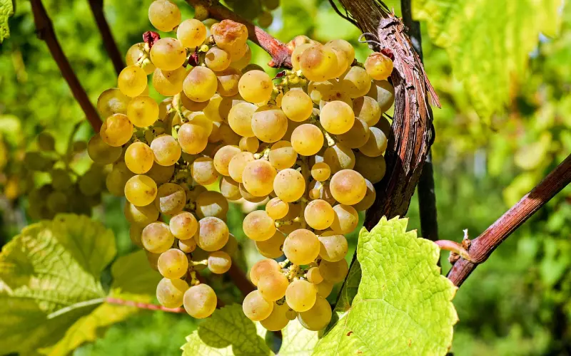 挽回爱情中，不同类型的男人，不同的挽回方式