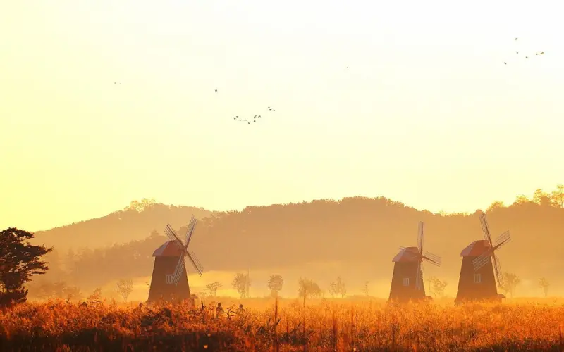 感情里要学会及时止损，不能活得忍气吞声