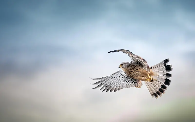 男生眼中，有趣的女人会巧妙避开4个雷区