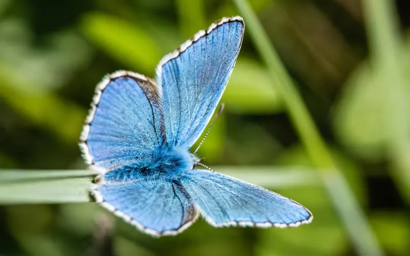 “在男人看来，谈恋爱就一定要发生性关系吗？”