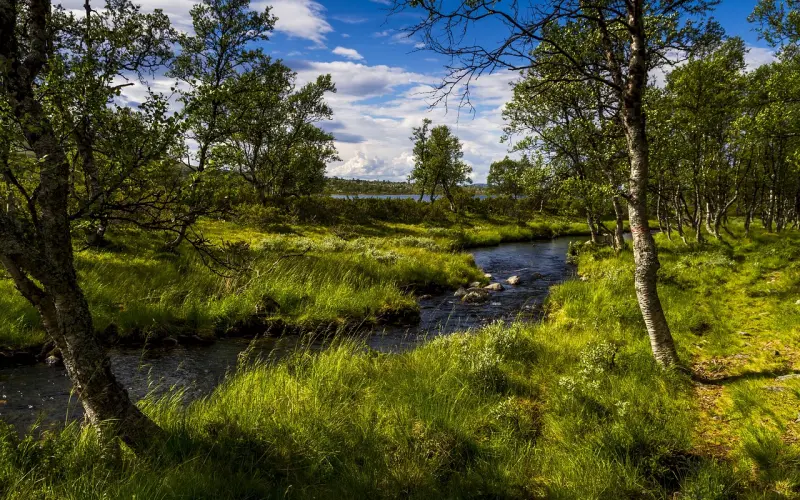 直男眼中，它最能凸显女人味！