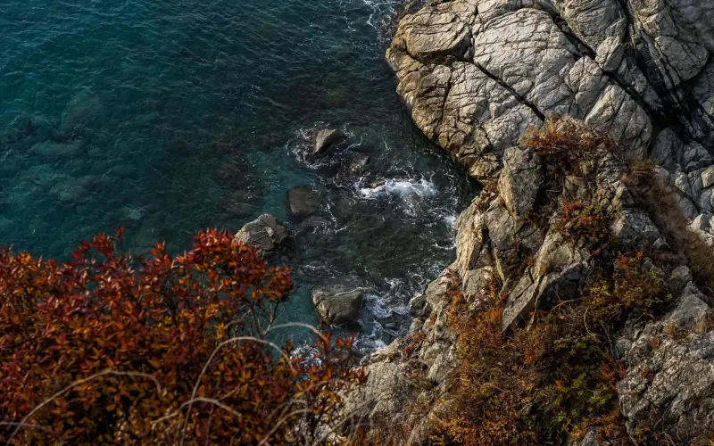 在相亲女人眼里，你是个“有效”的男人吗？