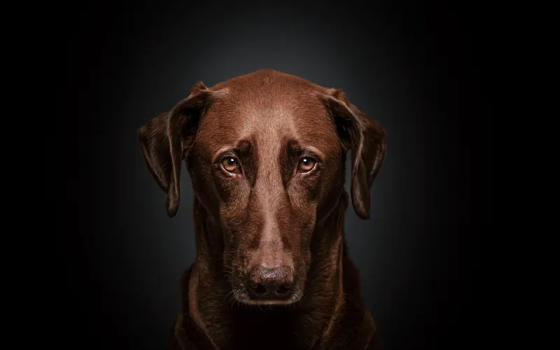 在这个看脸的时代，教你三点式男神进阶法