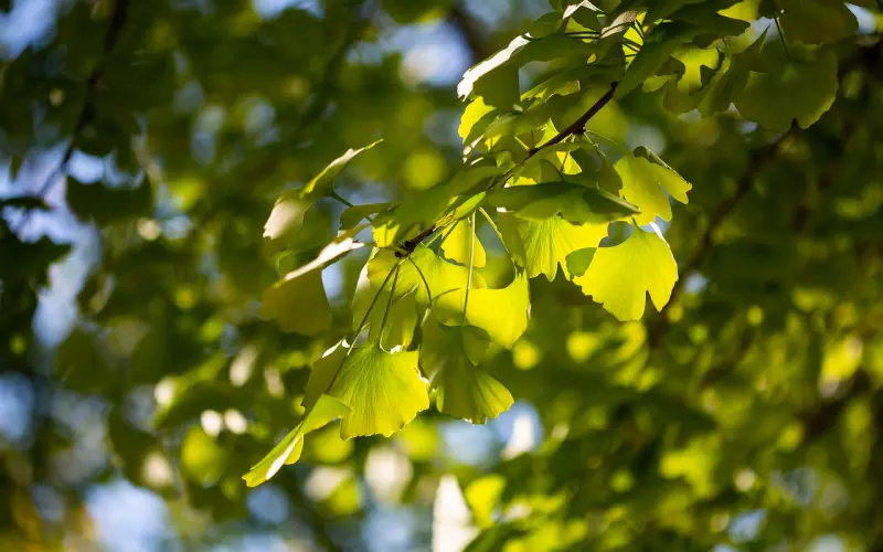与其挽回前任，不如让对方主动向你求复合
