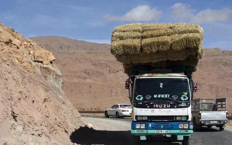 解读：一个男人真的会坚持一辈子对你好吗？