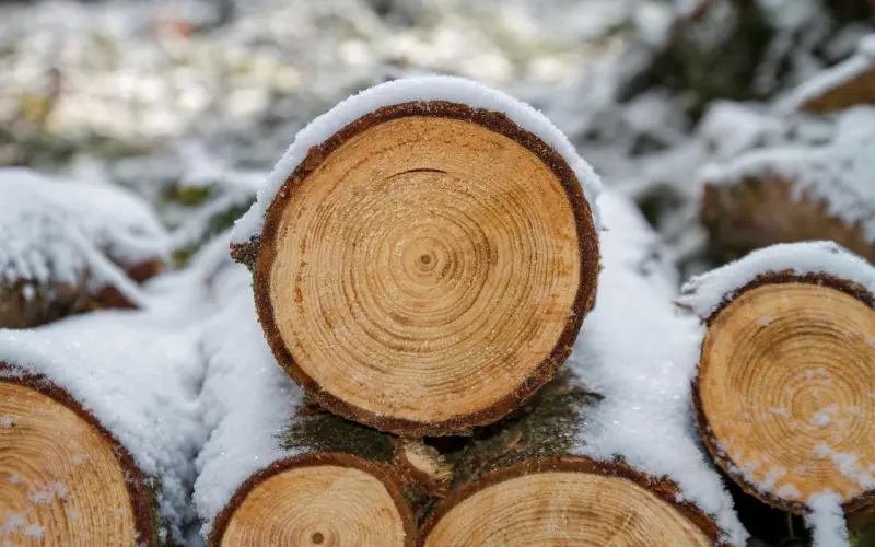 邀约喜欢的女生出去约会？这4点必须注意！