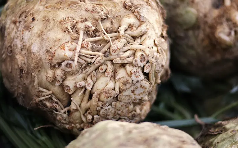 断联对挽回女生有用吗