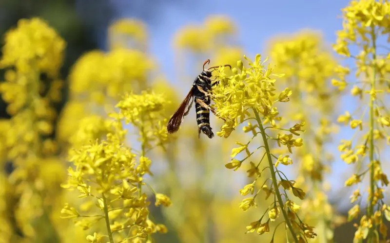 花镇情感挽回爱情可靠吗？