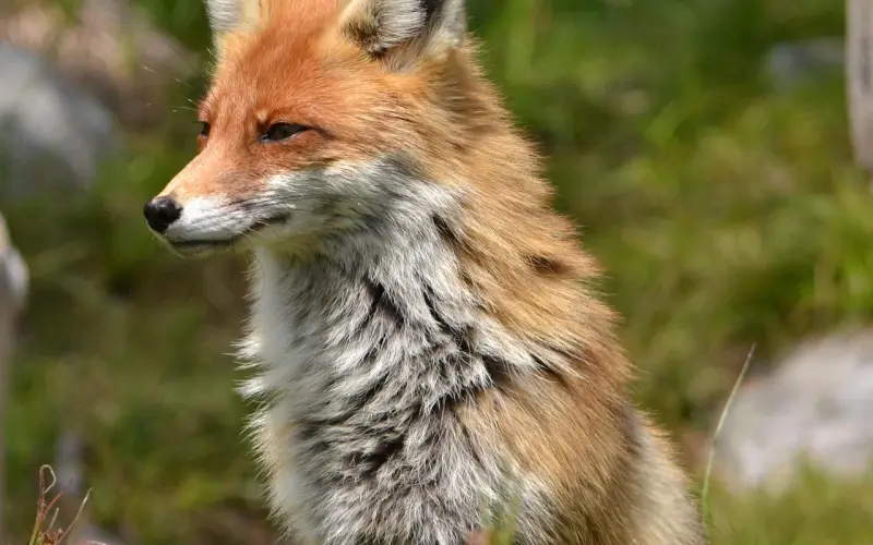 生存在这个时代的女人是福还是祸？