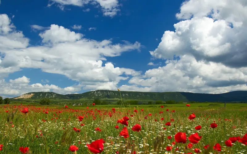 经期性行为，到底行不行？