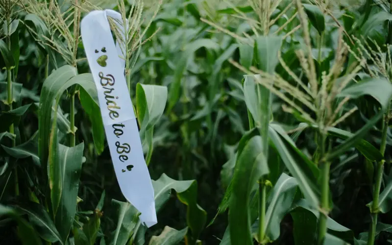 小三未婚先孕索要分手费，合理吗？