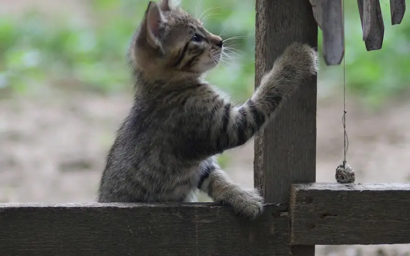 已经破坏信任感的爱情，还有必要挽回么？