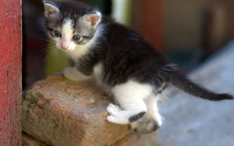 分分合合的恋爱，还有必要挽回吗？